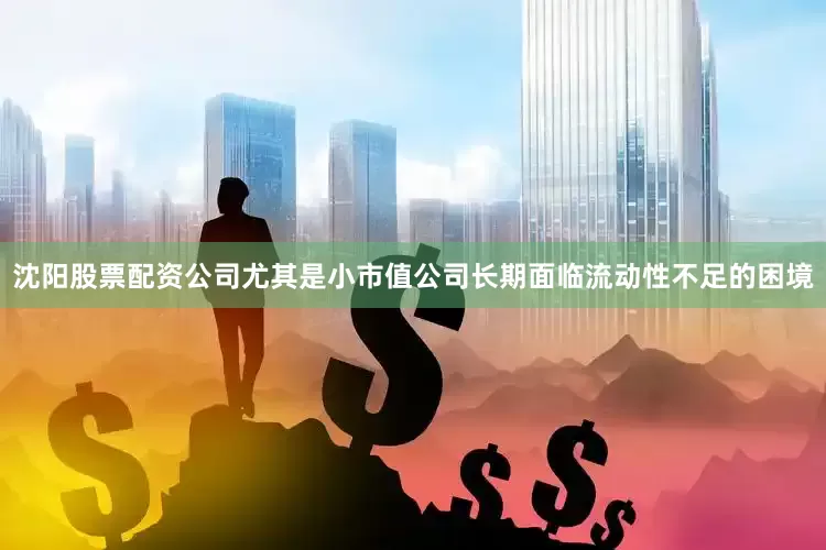 沈阳股票配资公司尤其是小市值公司长期面临流动性不足的困境
