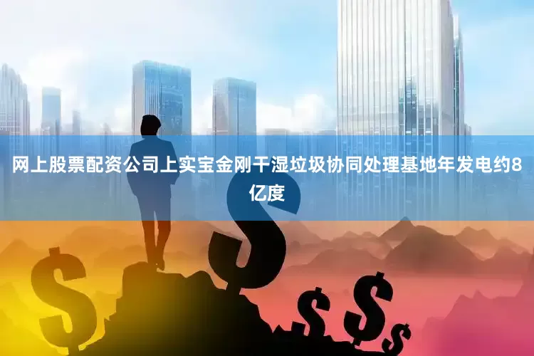 网上股票配资公司上实宝金刚干湿垃圾协同处理基地年发电约8亿度